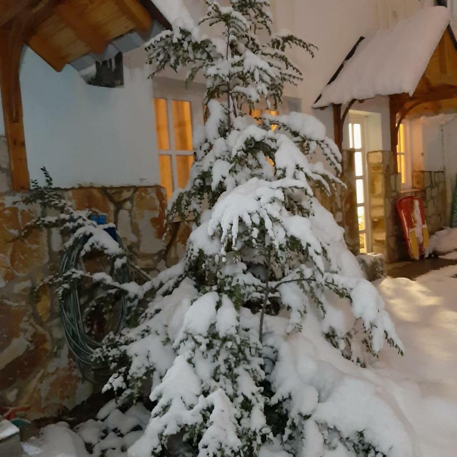 Departamentos Del Bosque Apartman Ushuaia Kültér fotó